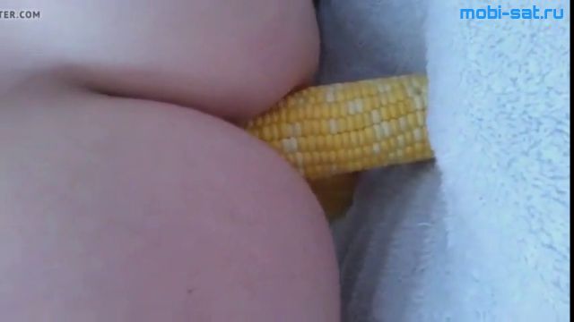 Девушка трахает себя в киску и анал кукурузным початком